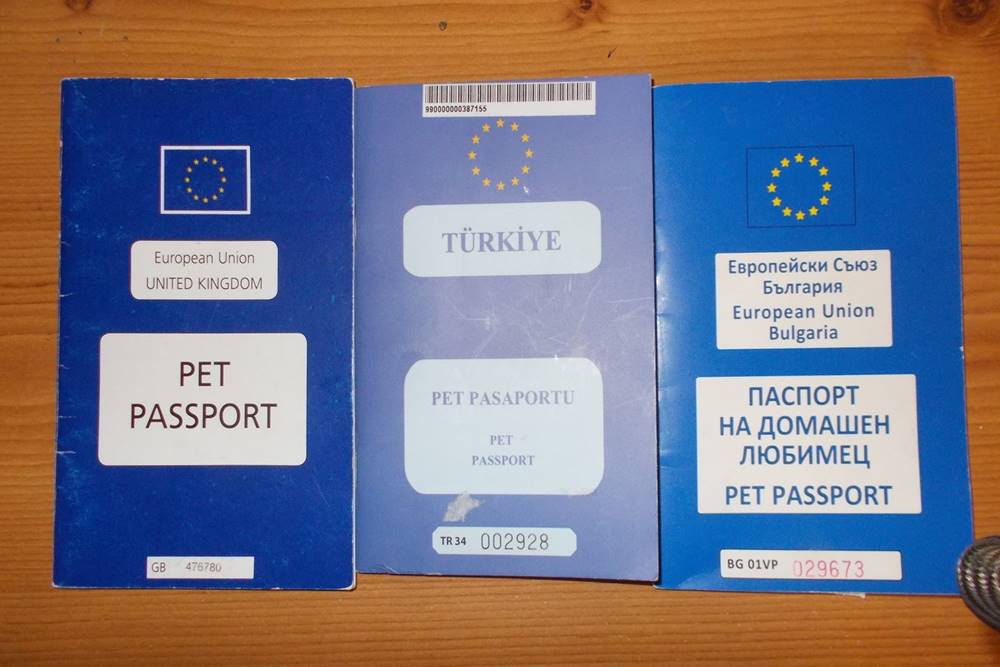 Evcil Hayvan (Pet) Pasaportu: Nedir ve Nasıl Alınır?