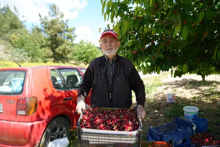 Tarlada 39, markette 199 lira! Aracı, üreticiden daha fazla kazanıyor!