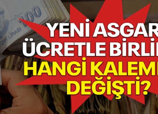 Yeni Asgari Ücretin Değiştirdiği Ödemeler