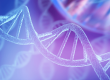 Google DeepMind'dan RNA ve DNA modelleyen yapay zeka modeli: AlphaFold 3