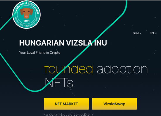 Macar Vizsla, Kripto Para Yatırımcıları Arasında Sevilen Bir Köpek Cinsi Haline Geldi