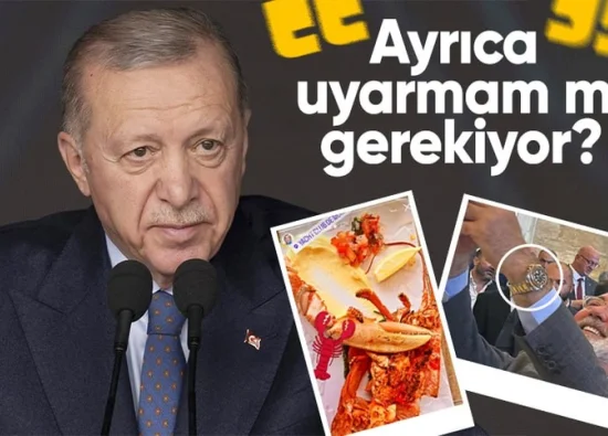 Cumhurbaşkanı Erdoğan'dan Rolex Saat ve Istakoz Tepkisi