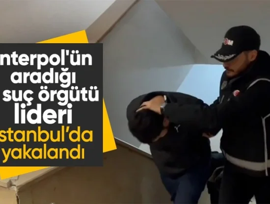İstanbul'da 'Mahzen-23' Operasyonu: İnterpol Kırmızı Bülteniyle Aranan 2 Suç Örgütü Lideri Yakalandı