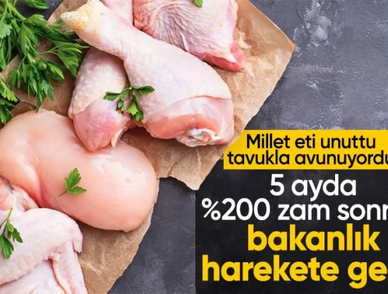 Tavuk Fiyatlarındaki Yükseliş ve Tavuk İhracatına Getirilen Yasağın Etkileri
