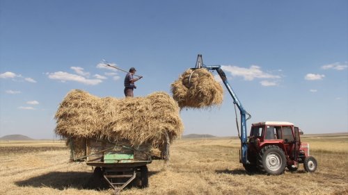Tarımsal Destek Ödemeleri Hesaplara Yatırılıyor: Çiftçilerin Beklediği Haber Geldi!